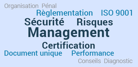 Nuage de mot : Management, Sécurité, Risques, Certification, Règlementation, ISO 9001, Document unique, Performance, Organisation,  Pénal, Conseils, Diagnostic.